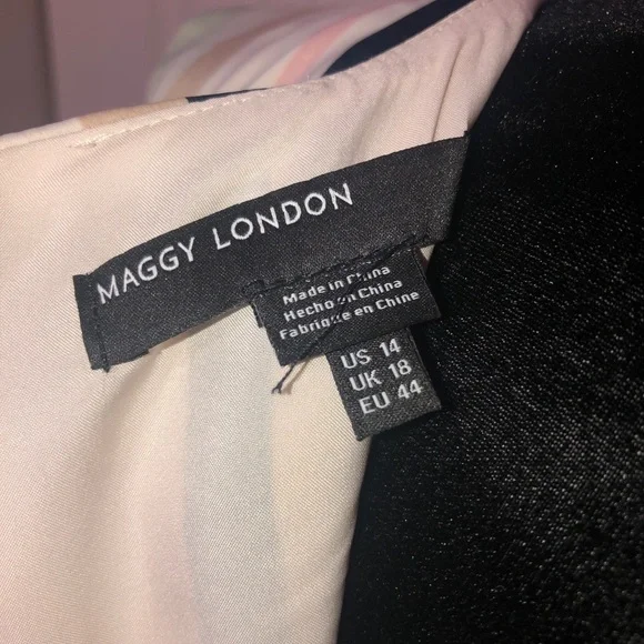 Maggy London Womens Stripe Charmeuse Fit and Flare sz14 - Picture 5 of 10